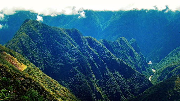 zielone drzewa liściaste, krajobraz, przyroda, góry, Tapety HD