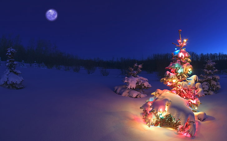 Christmas tree wallpaper, holiday, Christmas, christmas lights, landscape, night, snow, HD wallpaper