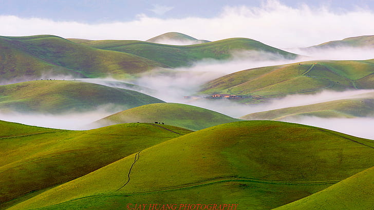 aerial photo of green hills, Rolling Hills, aerial photo, green hills, Livermore, Early Spring, Spring Green, Green  Spring, Low, Fog, Sunrise, Abstract, Morning, Lights, Lines, Layers, Curves, East Bay, Bay  Bay, Bay Area  California, nature, hill, landscape, mountain, rural Scene, meadow, grass, scenics, outdoors, agriculture, green Color, HD wallpaper
