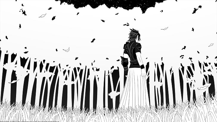 Schwarz-Weiß-Videospiele Königreich Herzen zurück Wald Chrom Anime Jungen Axel Königreich Herzen II 2 Videospiele Kingdom Hearts HD Art, Schwarz-Weiß, Videospiele, HD-Hintergrundbild