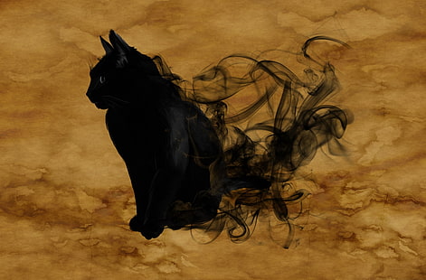 Halloween czarny kot, święta, Halloween, magia, dym, sylwetka, mistyczne, tajemniczy, surrealistyczny, czarny kot, Tapety HD HD wallpaper