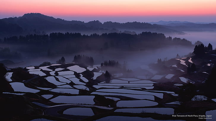 Tarasy ryżowe przełęczy Hoshi, Niigata, Japonia, Azja, Tapety HD