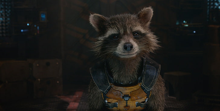 Guardians of the Galaxy, filmer, Marvel Cinematic Universe, Rocket Raccoon, HD tapet