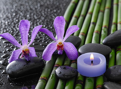 синя чаена свещ, капки, цветя, бамбук, орхидеи, Спа камъни, HD тапет HD wallpaper
