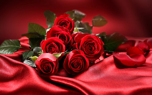Bouquet di fiori, rose rosse, amore, San Valentino, bouquet, fiori, rosso, rose, amore, San Valentino, giorno, Sfondo HD HD wallpaper