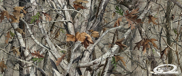 camuflagem camuflagem da floresta, HD papel de parede