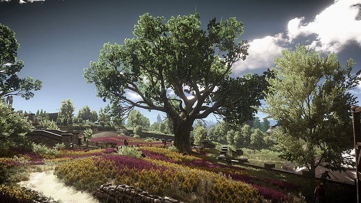 녹색 잎이 많은 나무, 더 위쳐 3 : 와일드 헌트, 비디오 게임, HD 배경 화면