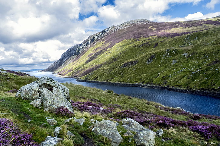 река между долиной с фиолетовыми цветами, Северный Уэльс, река, долина, фиолетовый, цветы, Уэльс, Великобритания, прогулочные холмы, горы, пейзаж, луга, вереск, вода, озера, валит, Сноудония, природа, пейзажи, гора, на открытом воздухе, лето,трава, камень - объект, зеленый цвет, европа, синий, HD обои