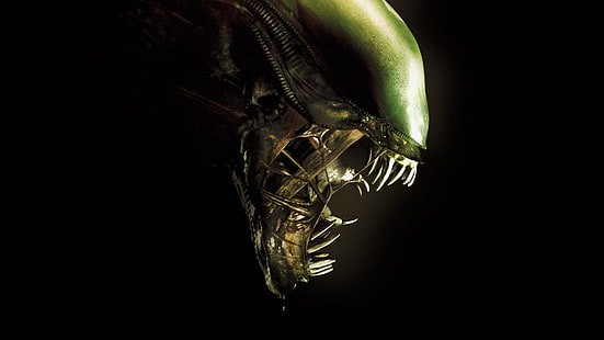 инопланетные обои, зеленый, кино, нло, монстр, инопланетянин, кино, клык, фильм, голова, HD обои HD wallpaper