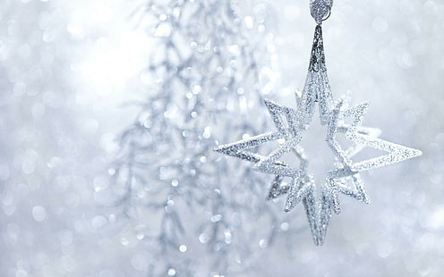 ต้นคริสต์มาสดาวฤดูหนาวปีใหม่คริสต์มาสต้นไม้ดาวฤดูหนาวปี, วอลล์เปเปอร์ HD HD wallpaper