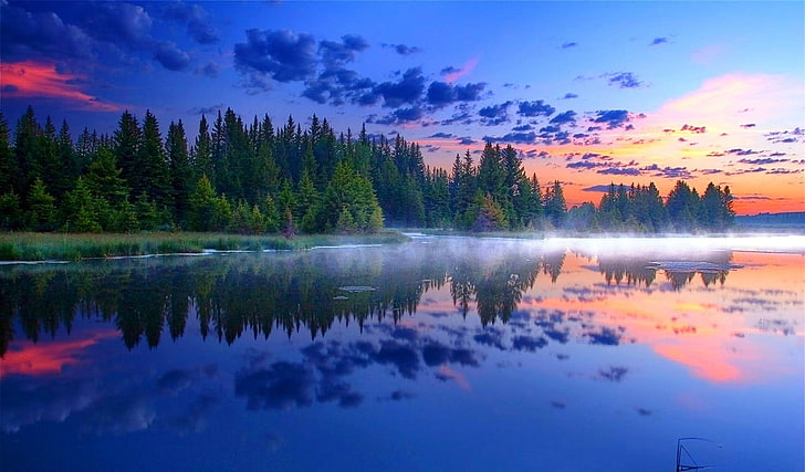 body of water, morning, mist, Grand Teton National Park, forest, reflection, lake, grass, nature, landscape, HD wallpaper