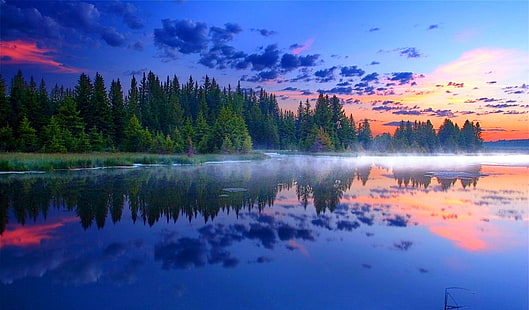 Gewässer, Morgen, Nebel, Grand Teton National Park, Wald, Spiegelbild, See, Gras, Natur, Landschaft, HD-Hintergrundbild HD wallpaper