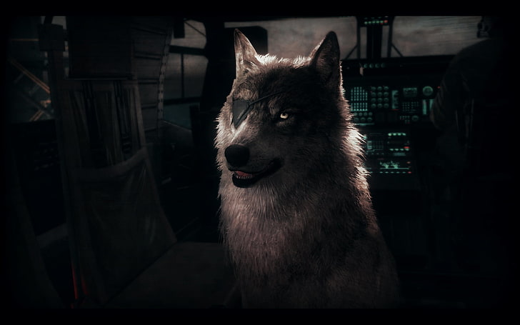 wolf illustration, Diamond Dog, Metal Gear Solid, Metal Gear, Metal Gear Solid V: The Phantom Pain, D-Dog, wolf, Big Boss, Solid Snake, HD wallpaper