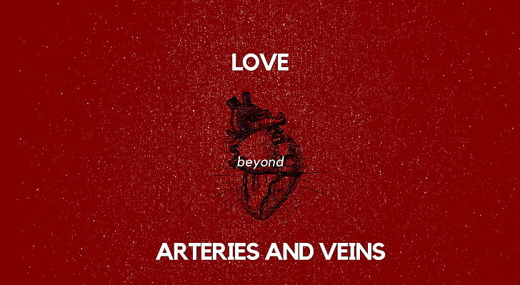 Arteries and Veins, Artistic, Typography, heart, red, love, arteries, veins, HD wallpaper