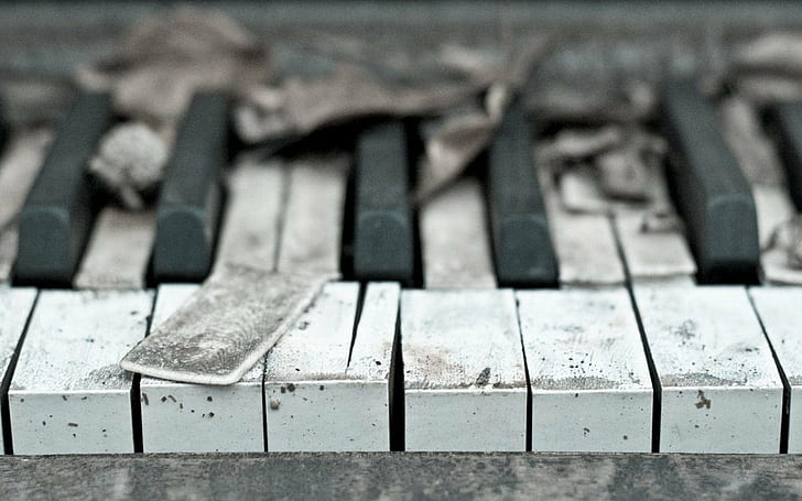 放棄された 壊れた ピアノ 木 Hdデスクトップの壁紙 Wallpaperbetter