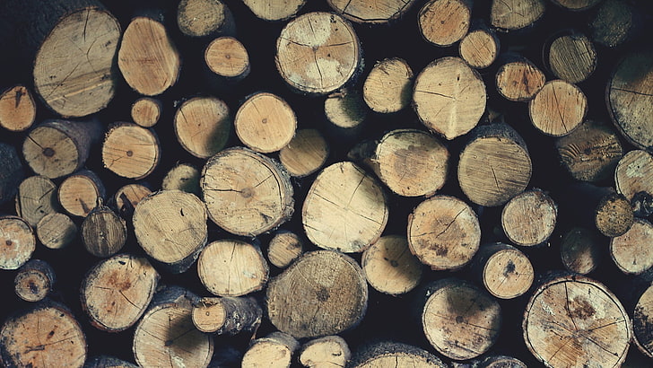 lotto di legna da ardere marrone, legno, marrone, Sfondo HD