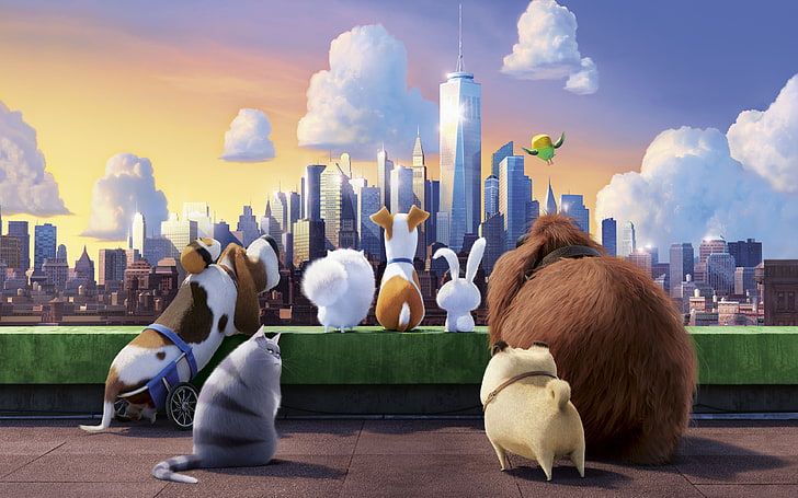 The Secret Life Of Pets Movie, Secret Life of Pets digital wallpaper, Movies, Hollywood Movies, hollywood, animated, 2016, HD wallpaper