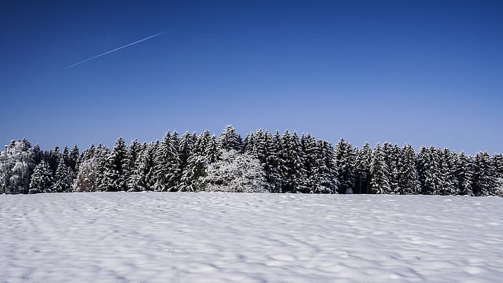nature, landscape, trees, snow, winter, outdoors, sky, chemtrails, wide angle, HD wallpaper