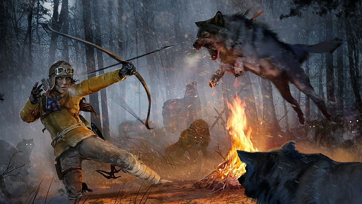 Rise of the Tomb Raider, jeux vidéo, illustrations, Fond d'écran HD