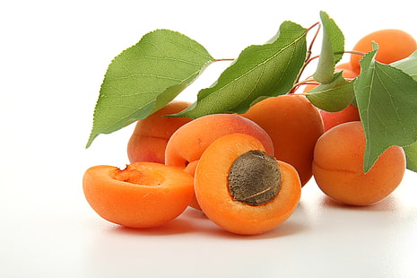 seikat buah persik, aprikot, cabang, daun, buah, Wallpaper HD HD wallpaper