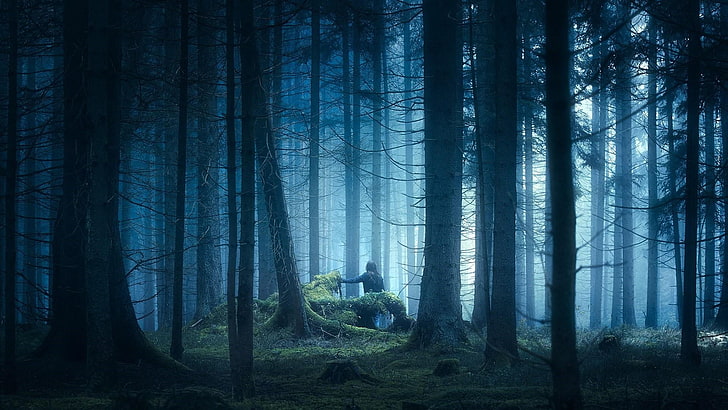 forest, nature, woodland, twilight, tree, spruce fir forest, man, dusk, darkness, HD wallpaper