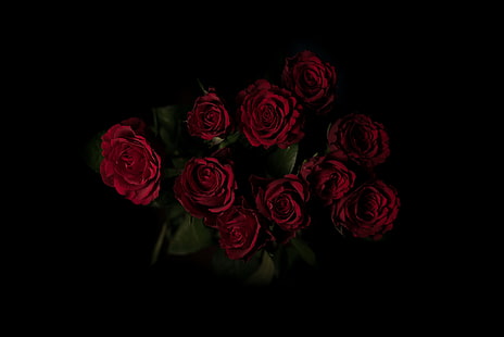 Ilustración de rosa roja, rosas, ramo, rojo, fondo oscuro, Fondo de pantalla HD HD wallpaper