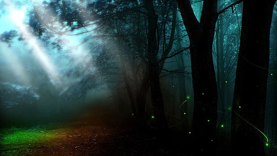 Glühwürmchen, Dämmerung, Wald, Wald, Feuerkäfer, Baum, Licht, Dunkelheit, Natur, Glühwürmchen, verträumt, Traumland, HD-Hintergrundbild HD wallpaper