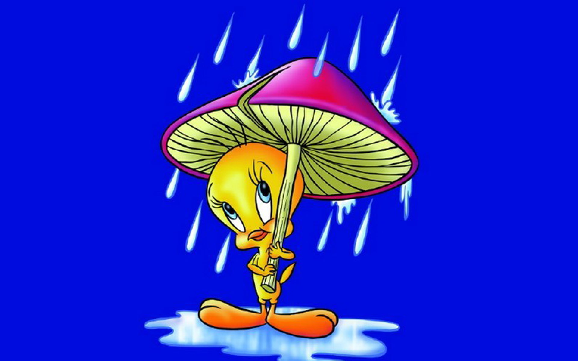 Cartoon Tweety Bird Rain Umbrella