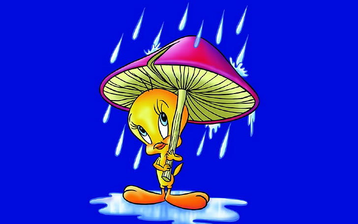 Cartoon Tweety Bird Rain Umbrella Mushroom Blue Desktop Wallpaper Background 1920×1200, HD wallpaper