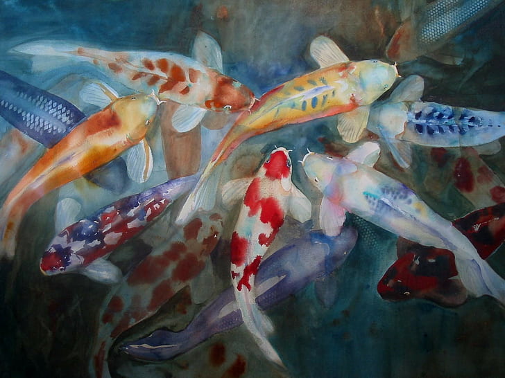 Koi Fish Fish Painting HD, дигитално / произведения на изкуството, живопис, риба, koi, HD тапет