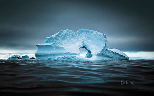 خليج سيرفا في شبه جزيرة أنتاركتيكا -2016 بينغ د.، خلفية HD HD wallpaper