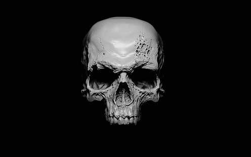 illustration de crâne blanc, crâne humain blanc, noir, blanc, fond noir, monochrome, crâne, Fond d'écran HD HD wallpaper