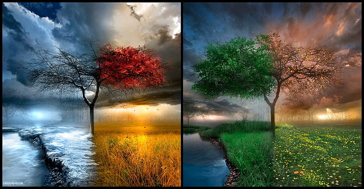 paesaggio alberi acqua nuvole stagioni quattro stagioni, Sfondo HD