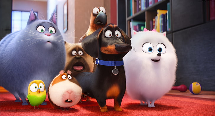 tecknad film, hund, Bästa animationsfilmer från 2016, The Secret Life of Pets, HD tapet