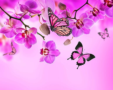 purple orchids, butterfly, flowers, Orchid, pink, blossom, beautiful, butterflies, HD wallpaper HD wallpaper