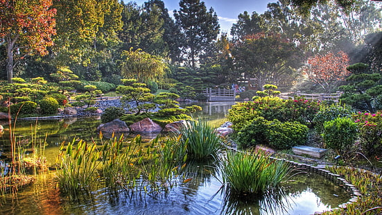 연못, 우리, 미국, 미국, 가을, 캘리포니아, 일본 정원, 경치, 플로라, 얼 번즈 밀러 일본 정원, 나무, 식물, 초목, 식물원, 정원, 롱 비치, 자연, 물, HD 배경 화면 HD wallpaper