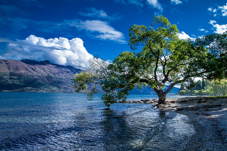 بحيرة واكاتيبو ، كوينزتاون ، نيوزيلندا خلفية المناظر الطبيعية عالية الدقة، خلفية HD