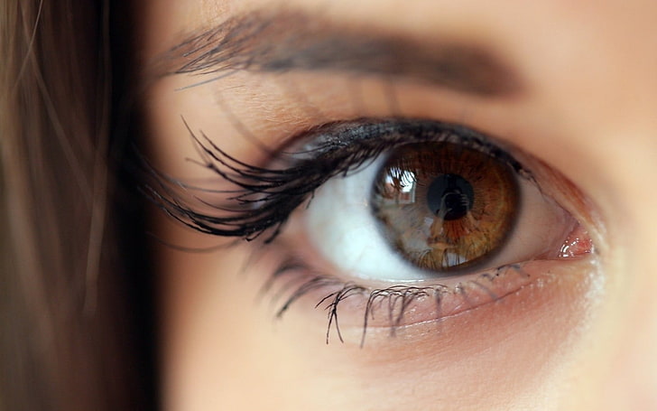 person's brown eye, women, brunette, Markéta Stroblová, eyes, brown eyes, closeup, pornstar, HD wallpaper