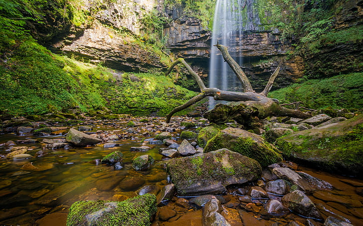 Cachoeira musgo floresta pedras pedras fluxo Log HD, natureza, floresta, rochas, pedras, cachoeira, fluxo, musgo, log, HD papel de parede
