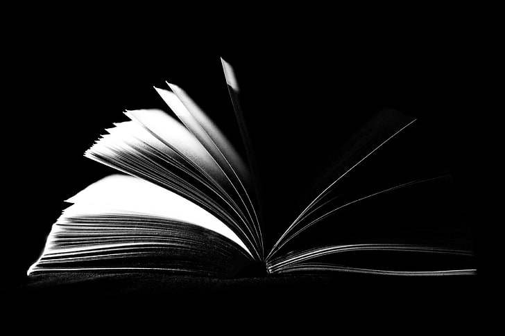 czarno-biały, książka, strony, papier, Tapety HD