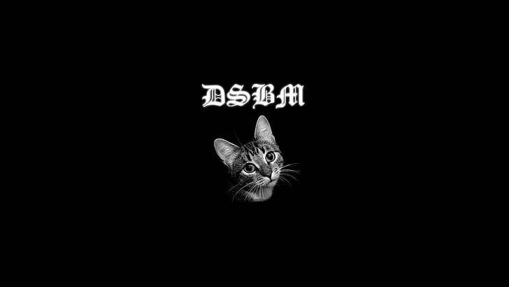 silberne Tabbykatze Tapete, Katze, schwarzes Metall, Musik, dsbm, Tiere, Minimalismus, HD-Hintergrundbild