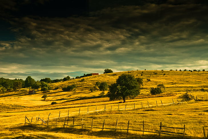 fence surround with grass and trees under gray clouds, fields, scenery, fence, surround, grass, trees, gray, clouds, colors, worm, Bosnia, travel, nature, landscape, yellow, rural Scene, hill, italy, agriculture, outdoors, farm, tree, sky, field, mountain, summer, scenics, meadow, landscaped, tuscany, HD wallpaper