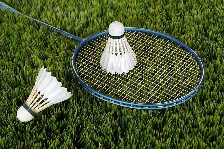 badminton, grass, racket, shuttlecocks, sport, HD wallpaper