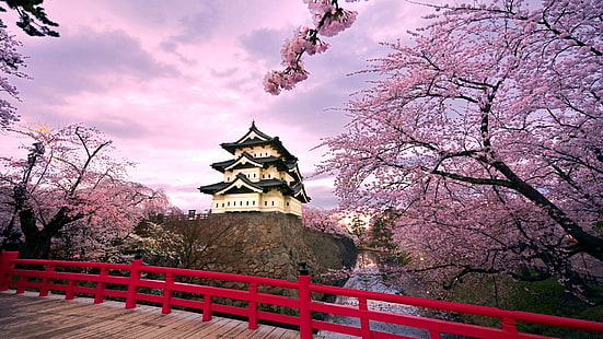 япония вишня цветет храмы японский мост 1920x1080 Архитектура Мосты HD Art, Япония, вишня цветет, HD обои HD wallpaper