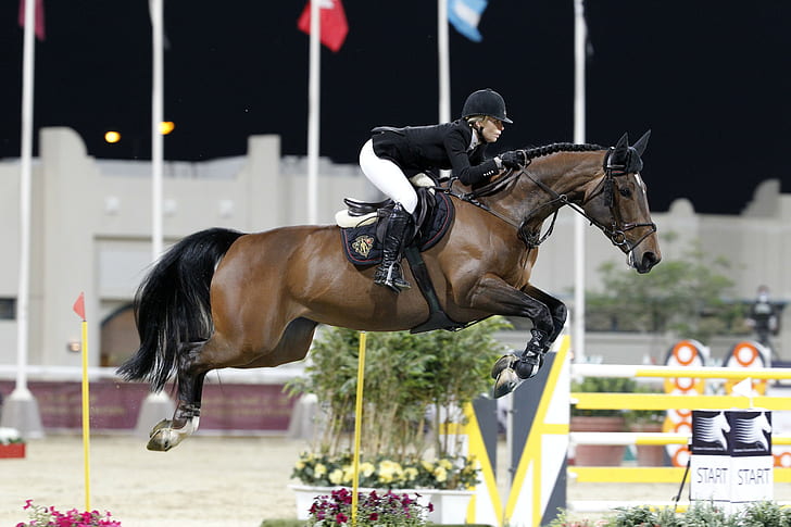 ขี่ม้า edwina ท็อปส์ - อเล็กซานเดอร์กระโดดขี่ม้าม้าไรเดอร์กีฬาขี่ม้า, วอลล์เปเปอร์ HD