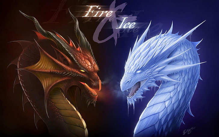 Fire & Ice character illustration, Fantasy, Dragon, Fire, Ice, HD wallpaper