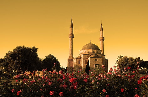 Moscheen, Moschee von zwei Minaretten, Rosenbusch, HD-Hintergrundbild HD wallpaper