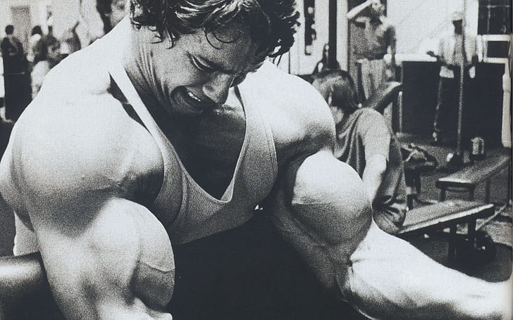 Arnold Schwarzenegger, kulturystyka, kulturysta, sztanga, siłownie, ćwiczenia, trening, ćwiczenia, mięśnie, Tapety HD