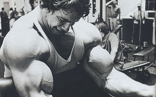 Arnold Schwarzenegger, culturismo, culturista, barra con pesas, gimnasios, ejercicio, ejercicio, ejercicio, músculos, Fondo de pantalla HD HD wallpaper