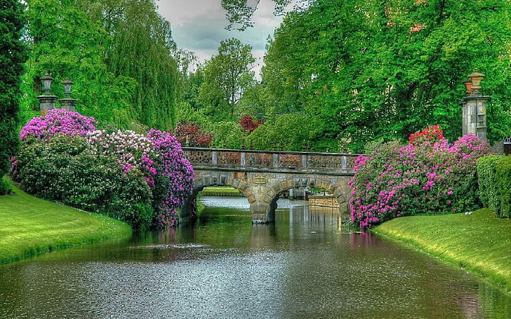 Bridges, Bridge, Bush, Flower, Garden, Park, Pond, Spring, Tree, HD wallpaper